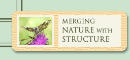 Merging Nature with Structure