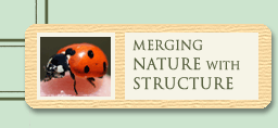 Merging Nature with Structure